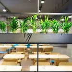Elaya Goeppingen, Trademark Collection By Wyndham فندق 3*