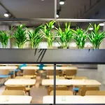 Elaya Goeppingen, Trademark Collection By Wyndham