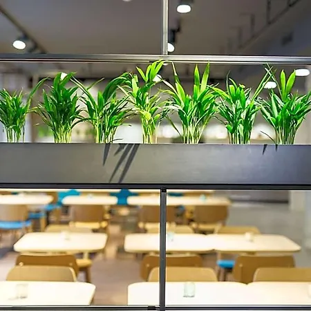 Elaya Goeppingen, Trademark Collection By Wyndham 3*