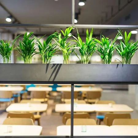 Elaya Goeppingen, Trademark Collection By Wyndham